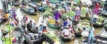 Circuit Delta du Mékong 2 jours