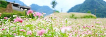 Circuit Hanoi Hagiang Dong Van Meo Vac Lolo noirs Babe 7 Jours