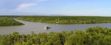 Excursion éco-touristique au cœur de la mangrove de Can Gio