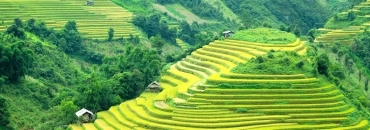 Visite Sapa marché Bac Ha 1 jour