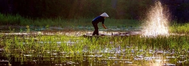 Voyage Vietnam de luxe haut de gramme 15 jours