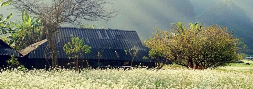 Circuit authentique du Nord ouest Vietnam 7 jours