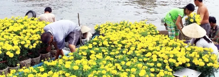 Circuit Cai be Vinh Long avec guide francophone saigon