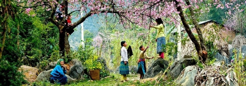 Circuit Hanoi Mai Chau Ninh Binh Halong Cat Ba Hanoi 11 jours