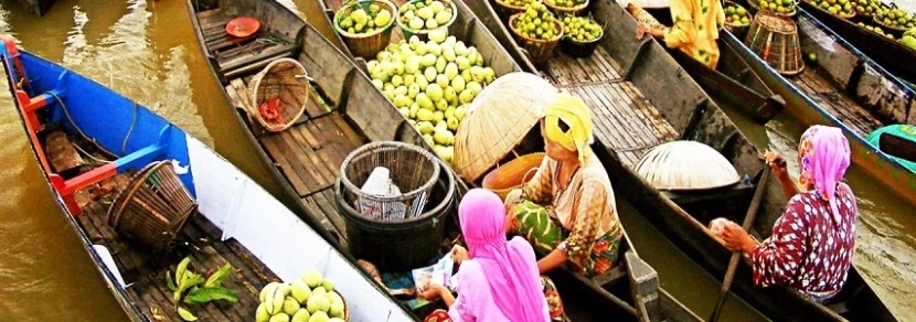 Circuit Saigon Can Tho Cai Be Vinh Long 2 jours