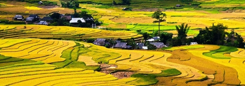 Le Nord-est Vietnam (Dong Van, Meo Vac) 10 jours 9 nuits