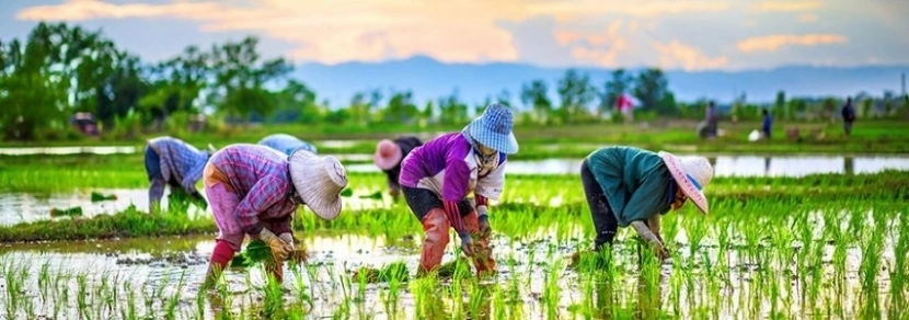 Randonnée au Nord-Est Cambodge 8 jours 7 nuits