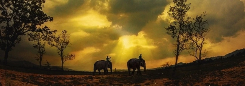 Visite Buon Me Thuot Haut plateau Vietnam 3 jours