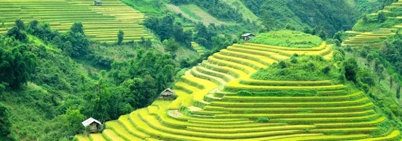 Visite Sapa marché Bac Ha 1 jour