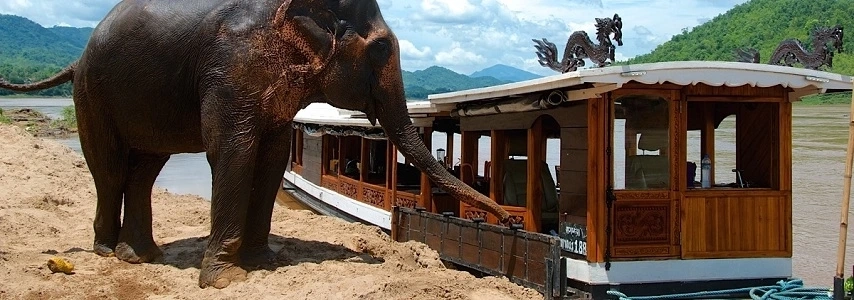 croisiere-delta-du-mekong-en-jonque-dok-keow-2-jours-1-nuit-3