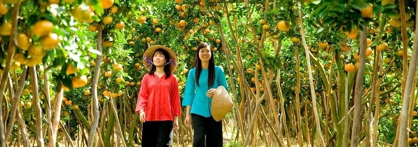 croisiere-delta-du-mekong-en-jonque-mekong-queen-1-jour-1