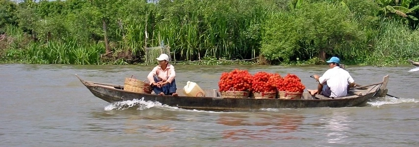 croisiere-delta-du-mekong-sur-jonque-mekong-eyes-2-jours-1-nuit-3