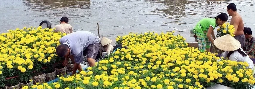 croisiere-delta-du-mekong-sur-jonque-mien-tay-mekong-2-jours-1-nuit-3
