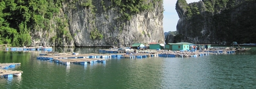 croisiere-en-baie-halong-sur-jonque-amira-3-cabines-2-jours-1-nuit-6