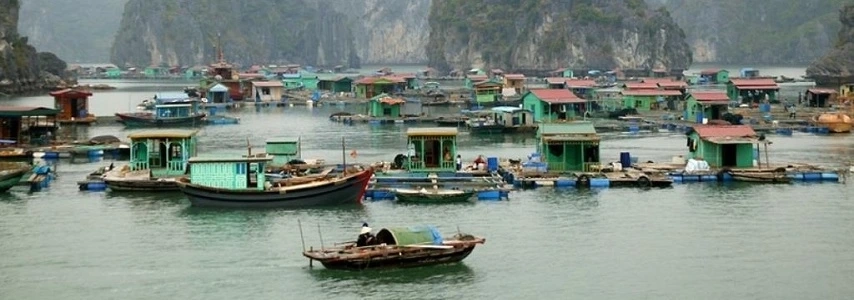 croisiere-en-baie-halong-sur-jonque-catba-tuan-sailing-1-cabine-3-jours-2-nuits-2