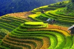 Sapa et ses environs Trekking